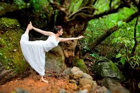 India and Cyprus Join Hands to Boost Wellness Tourism; Maharashtra Prepares for Global Influx